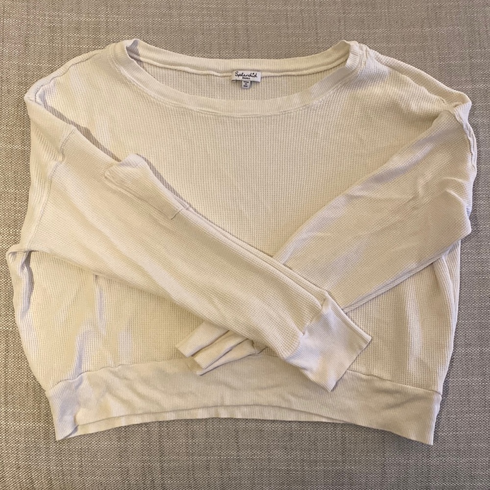Cropped splendid top